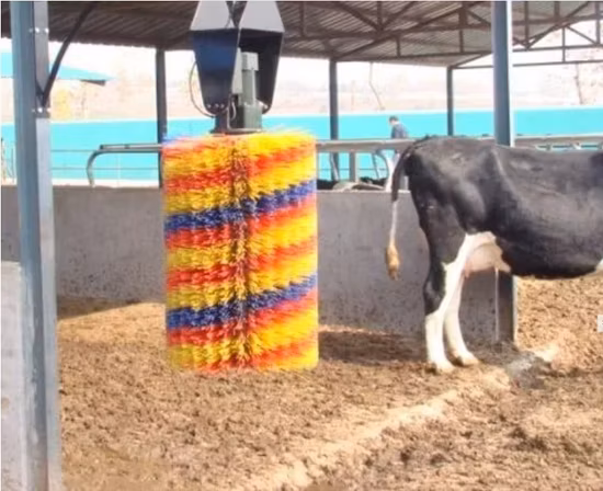 Brosse corporelle durable pour animaux, équipement pour vaches avec moteur électrique